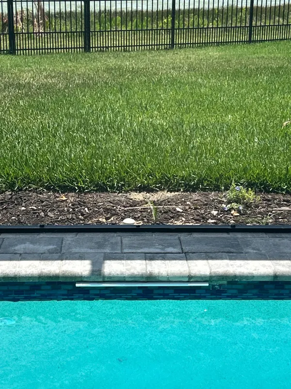 Finished sheer descent with pavers and coping reset along the pool edge