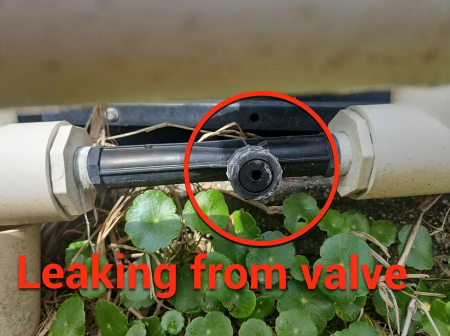 Leaking valve at a Cape Coral pool equipment pad, circled in red