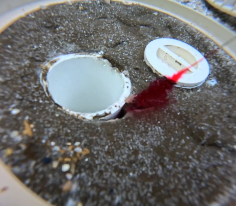 Red dye pulled into the back port hole of a pool skimmer in Cape Coral