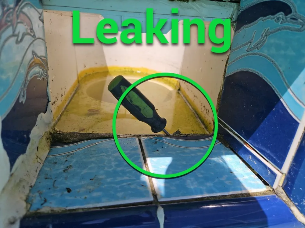 Skimmer throat circled where dye shows a leak
