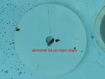 Skimmer lid being used as a main drain cover