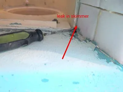 Skimmer throat with an arrow pointing to a leak